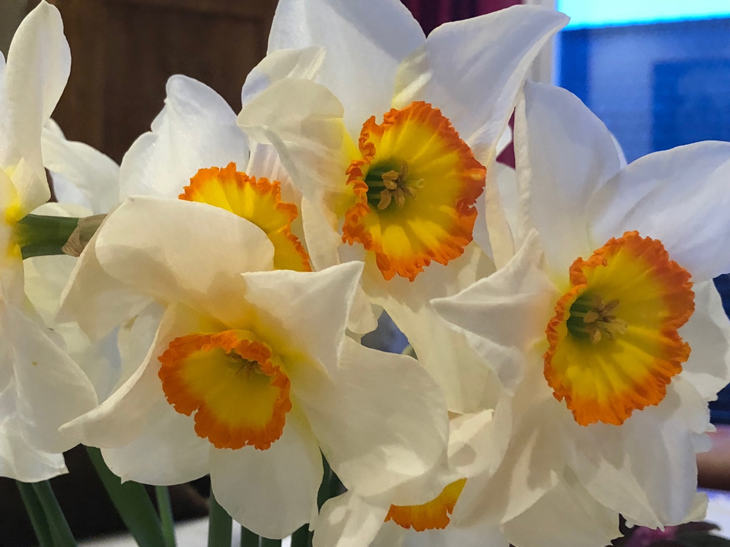 Referat fra styremøte torsdag 3. april 2025