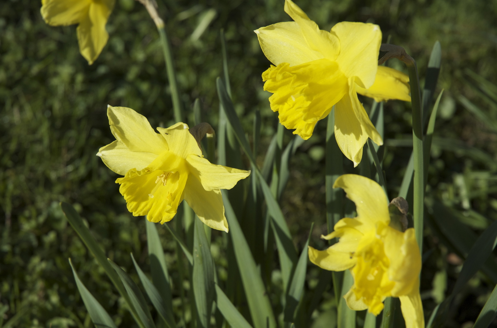 Referat fra styremøte torsdag 6. mars 2025